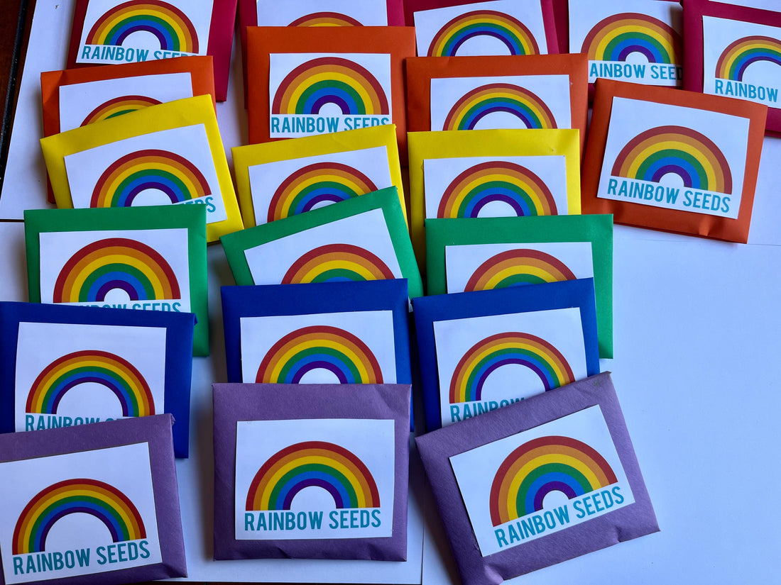 Rainbow Seed Packets - Skittles in homemade origami packet